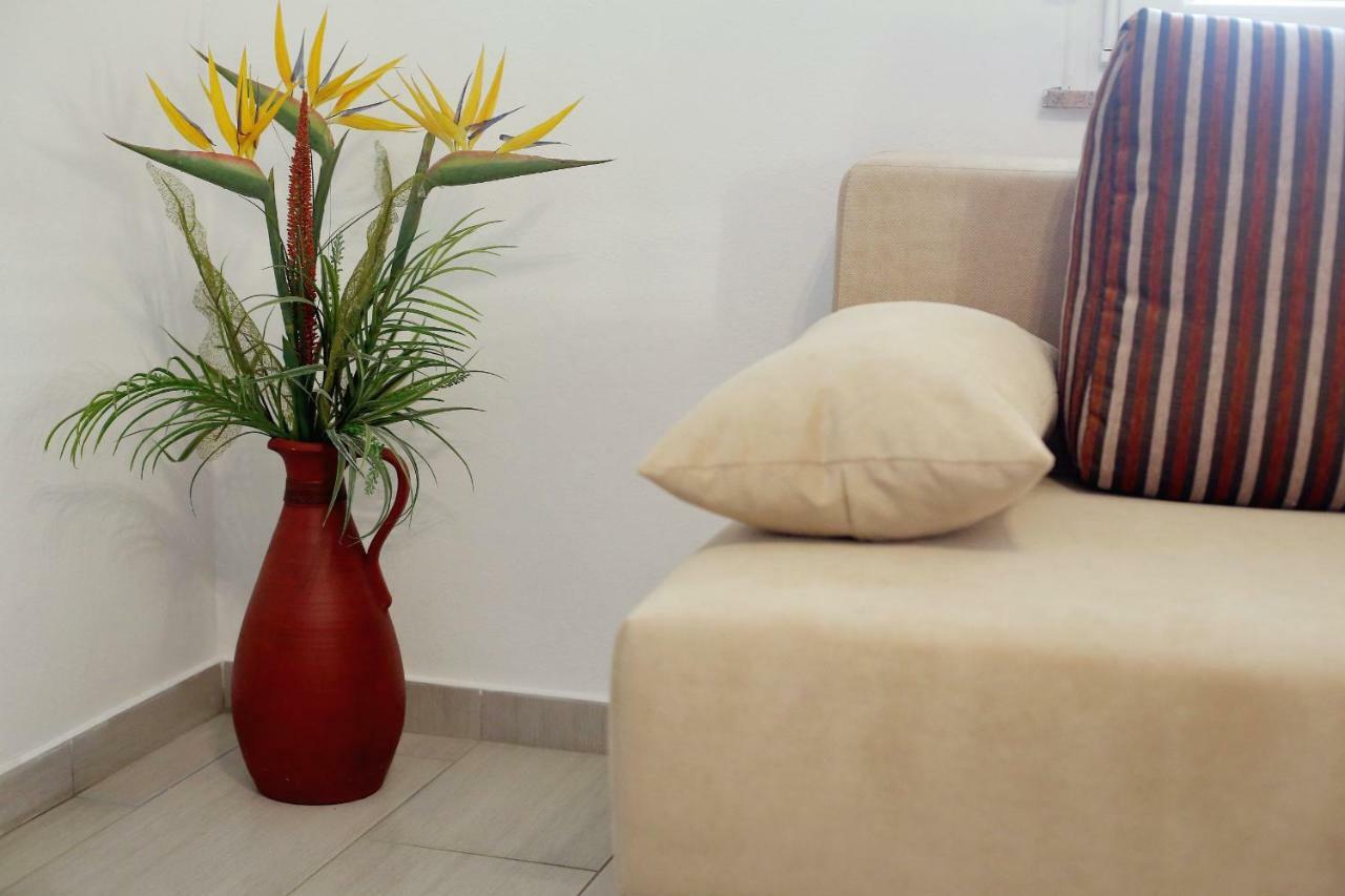Apartment Palma Bibinje Esterno foto
